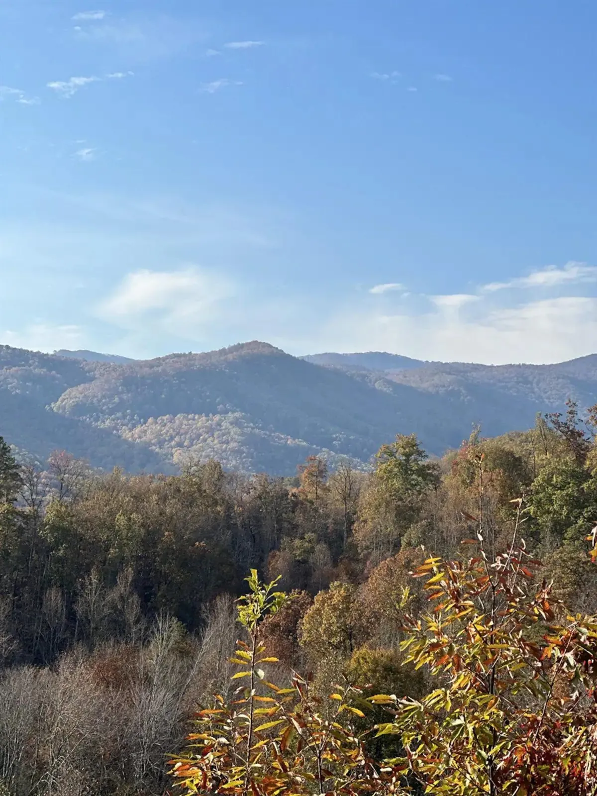 A panoramic mountain view with a vibrant mix of colorful foliage under a clear blue sky. The scene is peaceful and awe-inspiring, providing a sense of escape and natural beauty that families can enjoy from the cabin or while exploring the area.