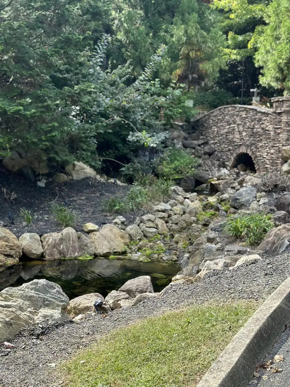 A picturesque stone bridge arches over a reflective pond framed by lush greenery and rock formations. The tranquil scene suggests leisurely strolls, bird watching, and quiet moments discovering the local flora and fauna. The natural beauty is both inviting and photogenic.