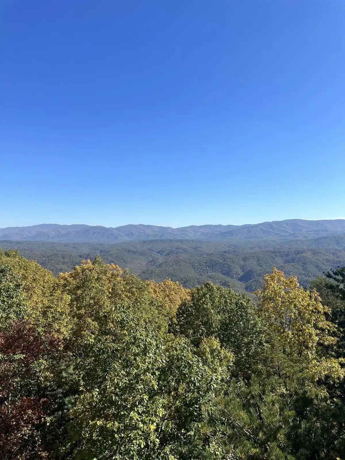 A sweeping panoramic view of distant mountains rising above lush greenery beneath a clear blue sky. The expansive landscape invites thoughts of hiking, wildlife spotting, and appreciating the unspoiled beauty of the Smoky Mountains. The layers of foliage and open sky evoke a sense of serene adventure and connection with nature.